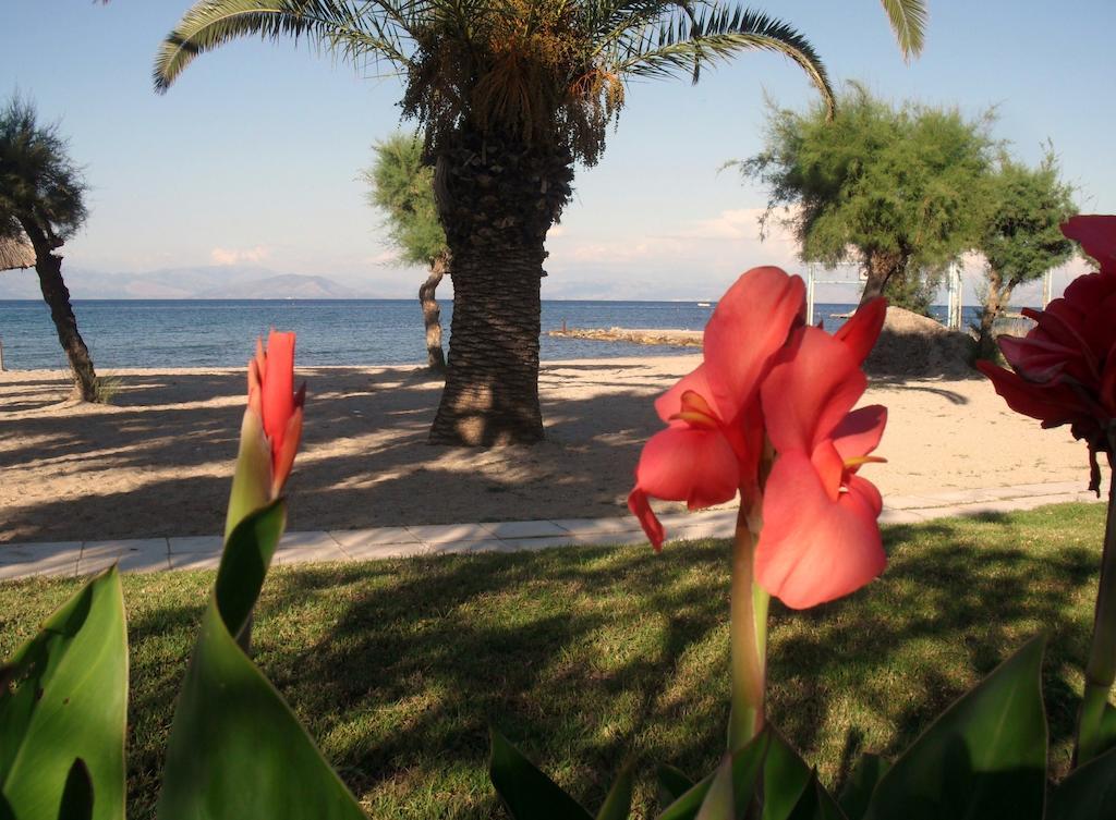 Three Stars Beach Hotel Moraitika Zewnętrze zdjęcie